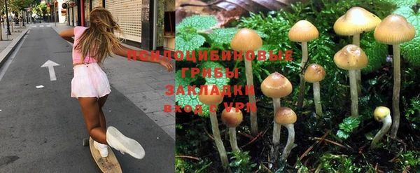 MDMA Алексеевка