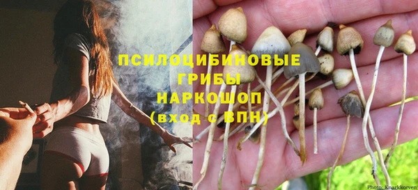 прущая мука Алзамай