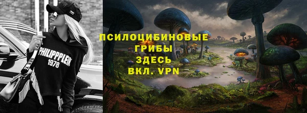 МДПВ Алексин