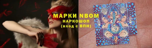 МДПВ Алексин